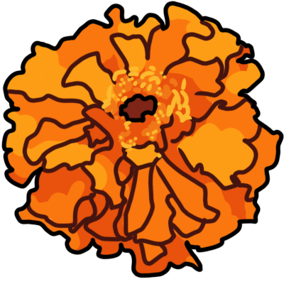 an orange marigold flower